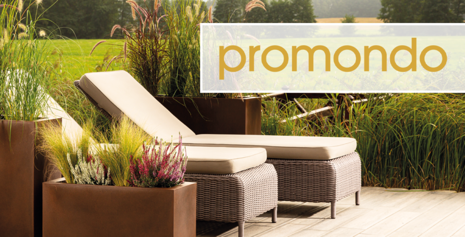 Promondo_Banner_für_Shoop_1508x630px